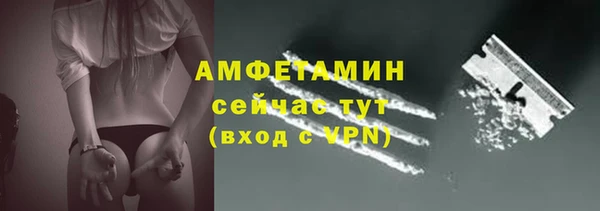 шишки Алзамай