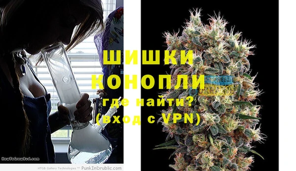 шишки Алзамай