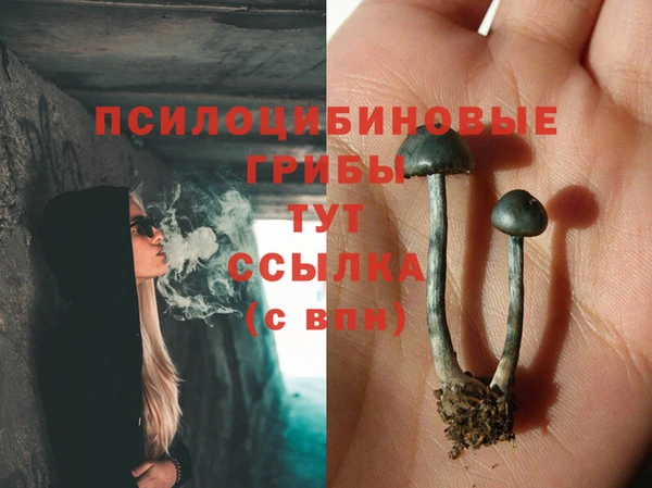 наркотики Алексин