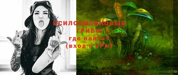 ALPHA PVP Алексеевка
