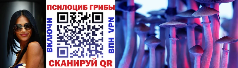 наркошоп  Добрянка  Галлюциногенные грибы MAGIC MUSHROOMS 